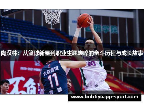 陶汉林:从篮球新星到职业生涯巅峰的奋斗历程与成长故事